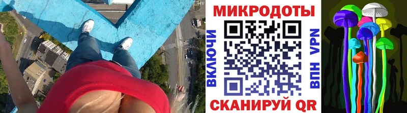 Псилоцибиновые грибы мухоморы  наркотики  Олонец 