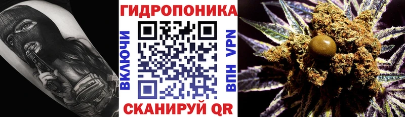 Марихуана планчик  Олонец 